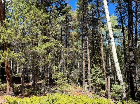 LOT 3307 Grojean, Fort Garland, CO 81133