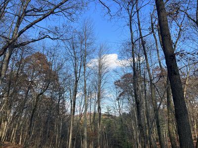 9351 Stakes Rd, Greenville, MI, 48838
