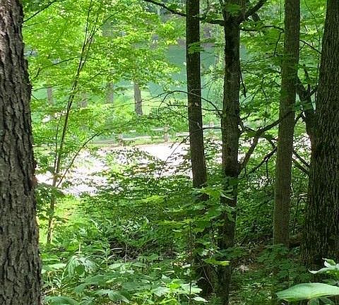 5th image of LOT 61 Mountain Air Cc