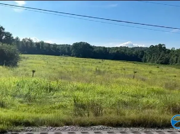 LOT 7 Highway 79 S, Guntersville, AL 35976