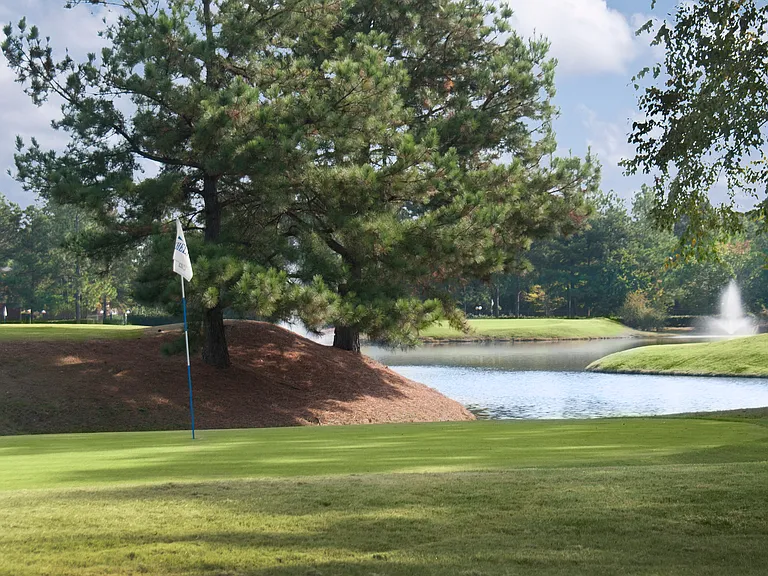 Links at Sherwood — Photo 36