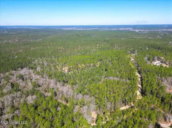 Burnis Havard Rd, Perkinston, MS 39573