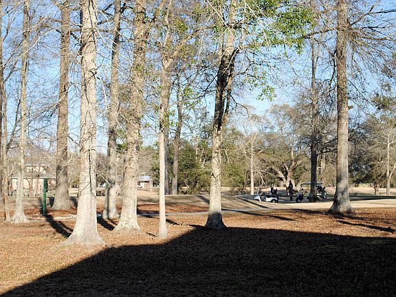 4th image of 184 Bald Eagle Dr