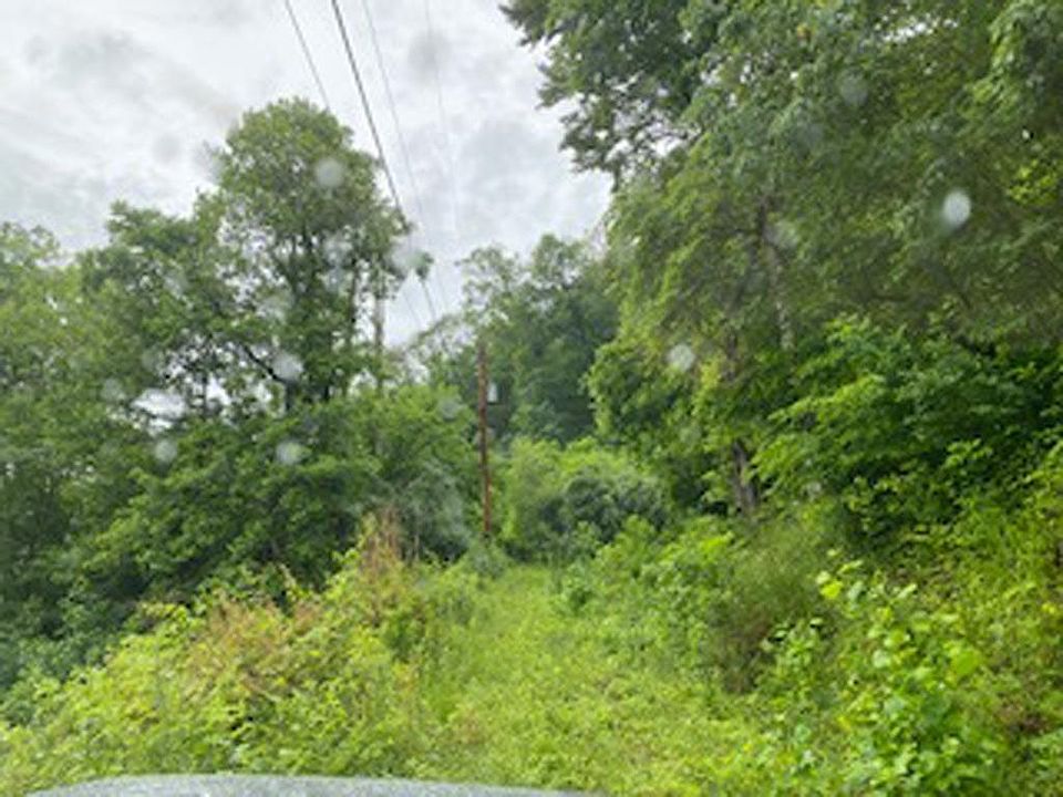 2nd image of 0 Jennys Fork Map 48 0 0 Lot 1-008.00