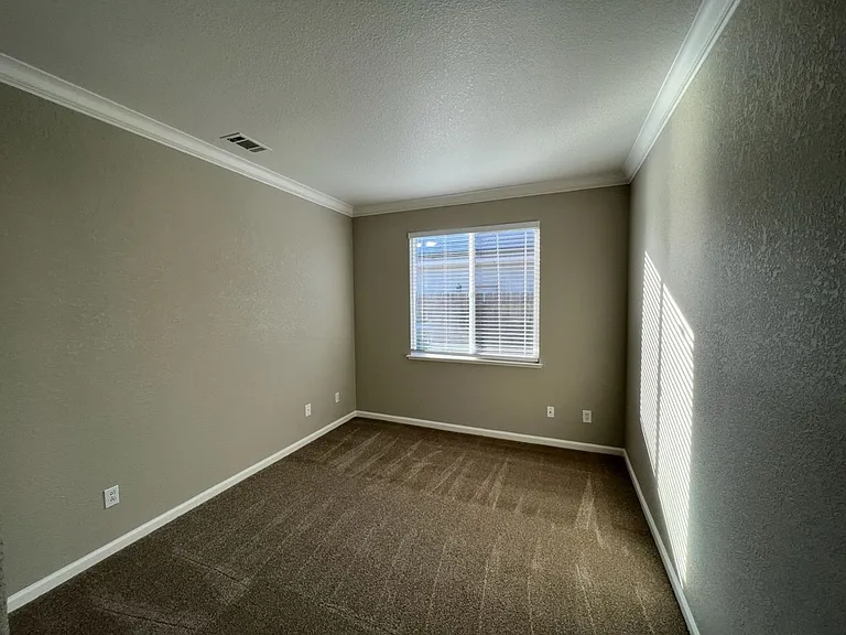 937 Jasmine Hollow Dr — Photo 12