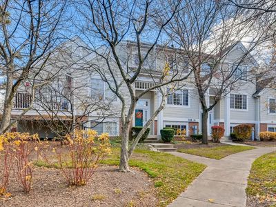 163 Lucerne Ct, Wheeling, IL, 60090