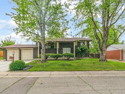 7503 Saulsbury Street, Arvada, CO, 80003