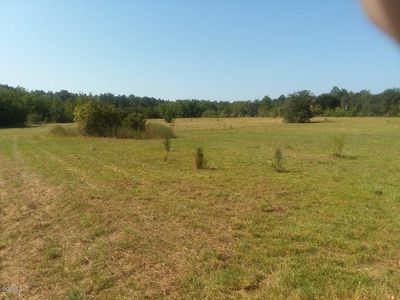 23000 Enoch Nettles Rd, Picayune, MS, 39466