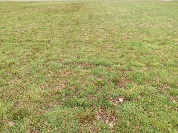 0 Crazy Horse Dr #1642, Sardinia, OH 45171