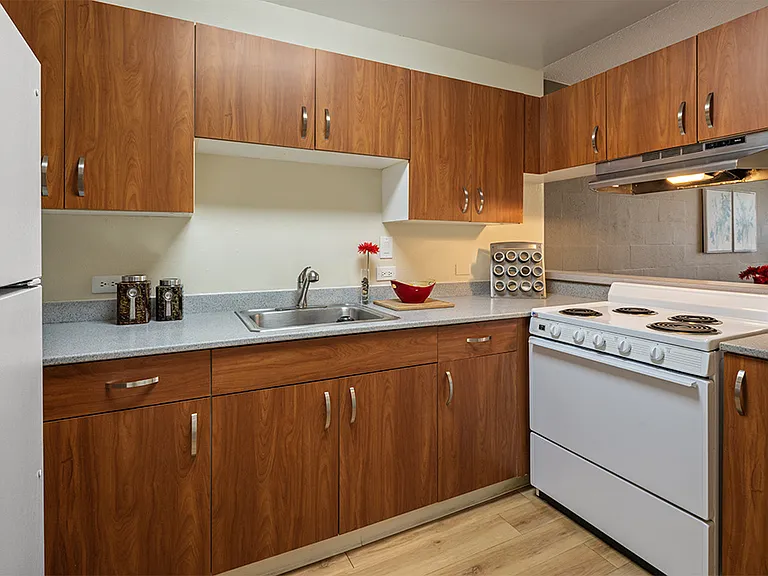 Waena Apartments — Photo 7