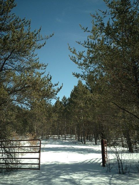 2nd image of ON Forest Service Road 431
