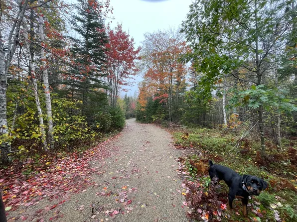 #24 Georgetown Woods Road, Columbia, ME 04623