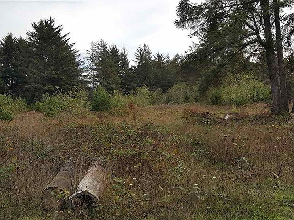 4th image of 250 Genevieve Ln