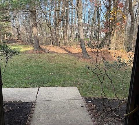 3rd image of 975 Lily Ct