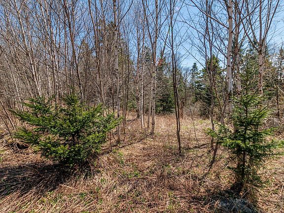 5th image of 840 Cutler Rd. Road