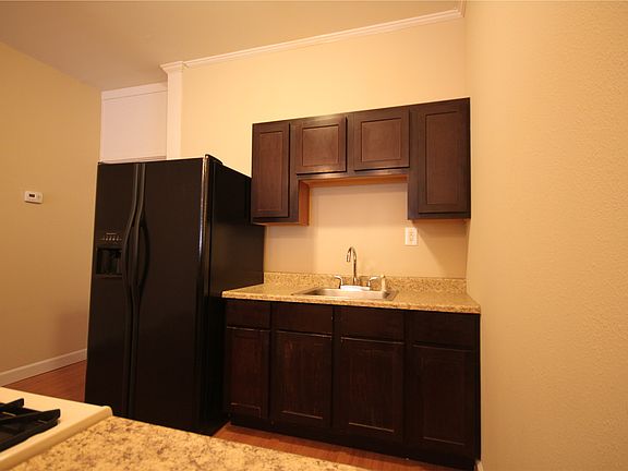 Kitchen has new cabinets and nice fridge!