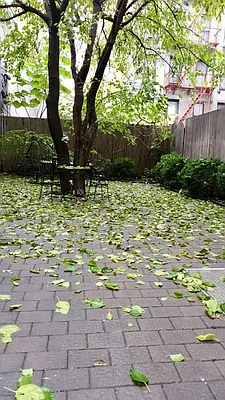 Rented by Compass | media 12