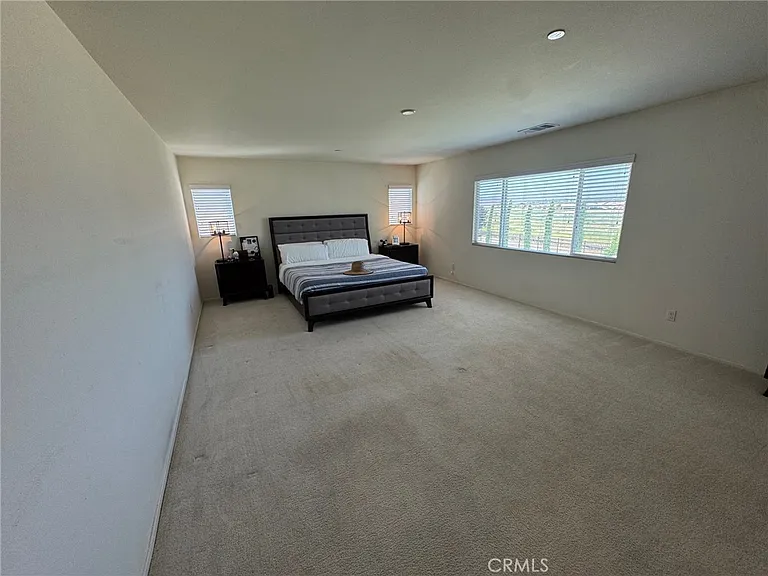 32376 Tyron Smith Ct — Photo 12