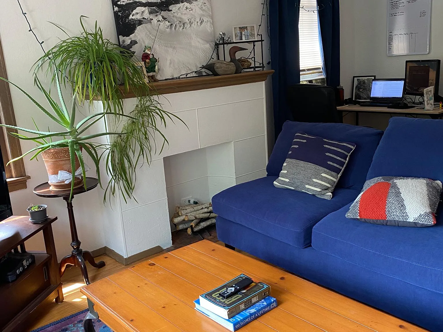 1 bed, 700 sqft, $1,225 — Photo 4