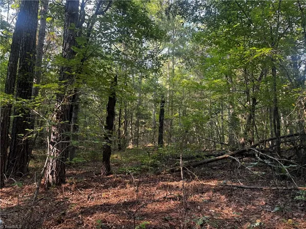 0 Sheffield Rd Lot 1, Seagrove, NC 27341