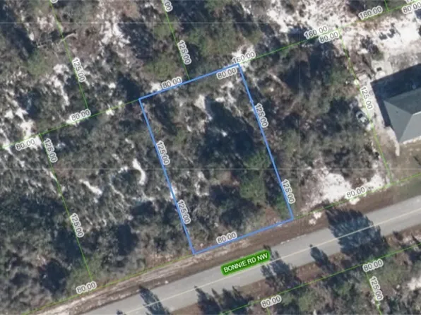 117 Bonnie Rd NW, Lake Placid, FL 33852