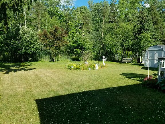 Back Yard - Nature View