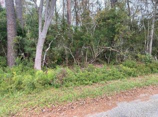 Golfview Cir, Johnsonville, SC 29555