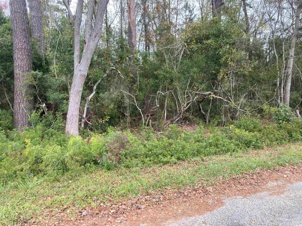 Golfview Circle, Johnsonville, SC 29555