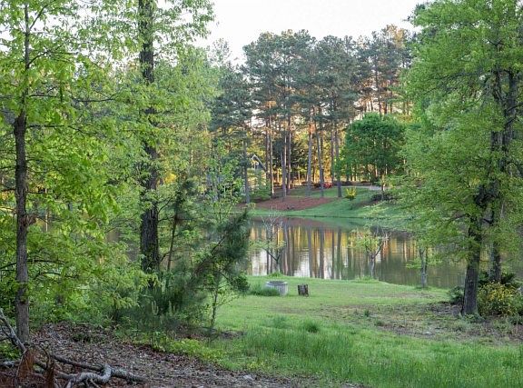 5th image of 313 Clark Lake Estates Dr