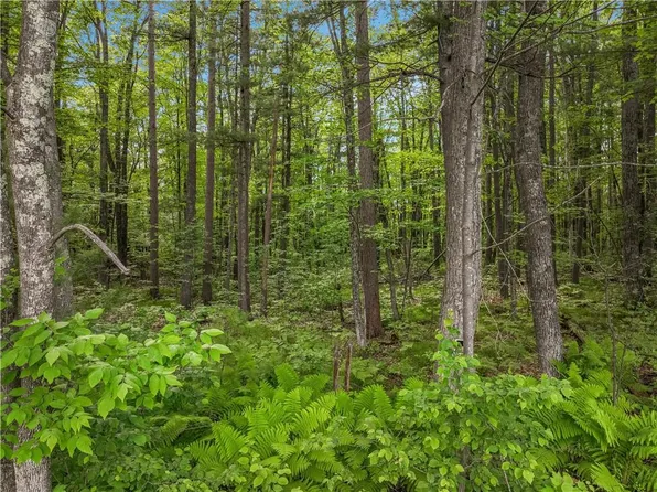 Off of Mc Claine Road, Hayward, WI 54843