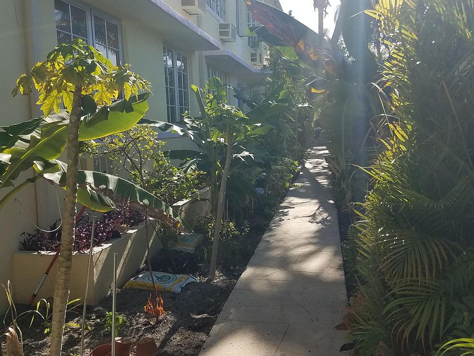Walkway & garden
