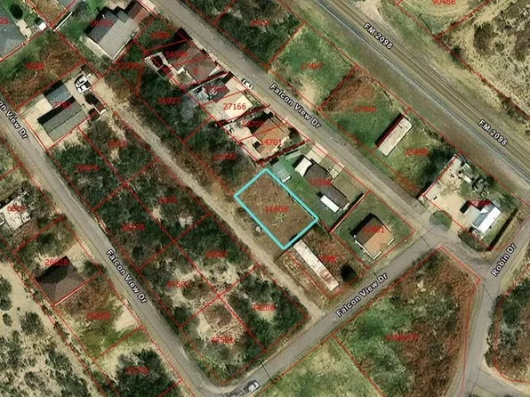 45 Skylark Ln, Falcon Heights, TX 78545