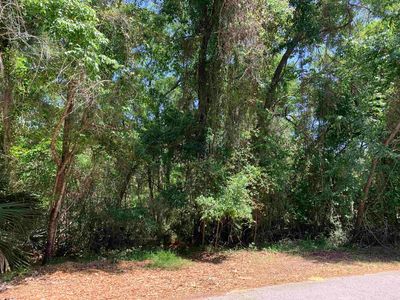 581 Willow Walk Pl, Saint Augustine, FL, 32086