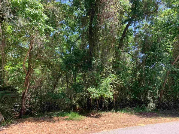 581 Willow Walk Pl, Saint Augustine, FL 32086