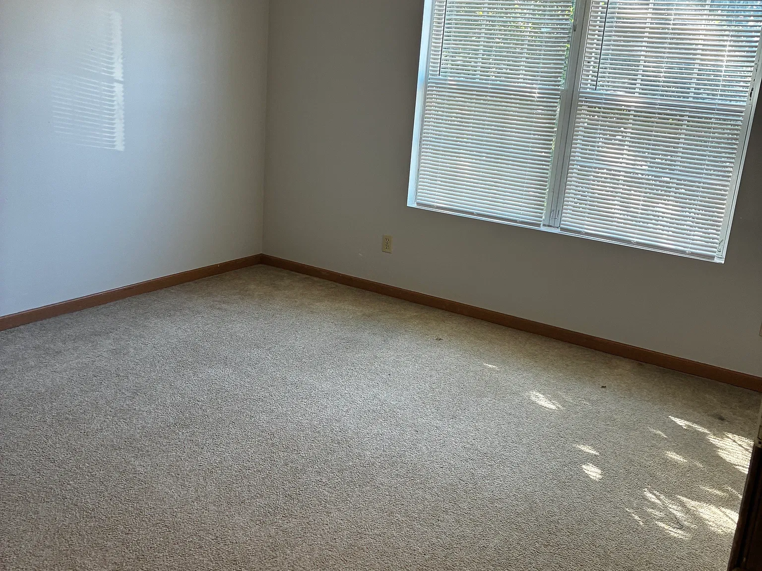 2026 N Section St — Photo 4
