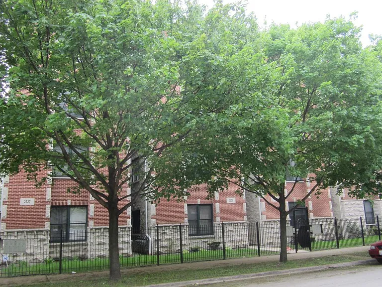 2329 W Harrison St #3 — Photo 5