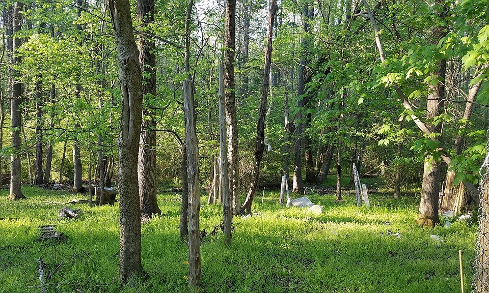 2nd image of 3014 Mountain Rd