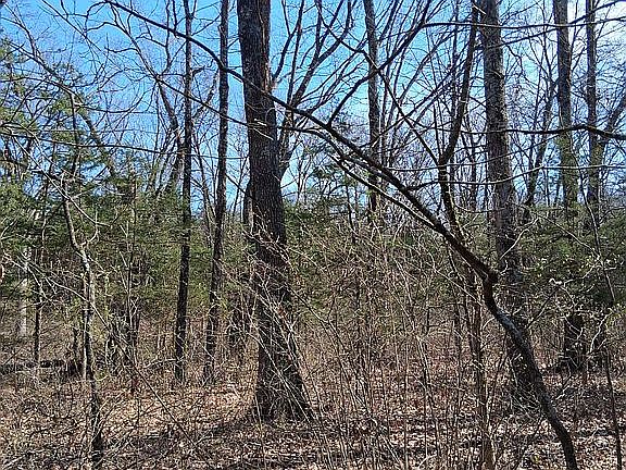 5th image of 2946 State Road F Lot 9