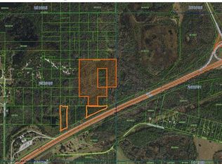 0 Holy Cow Rd, Polk City, FL 33868