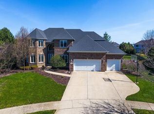 3 Carter Ct, South Elgin, IL 60177