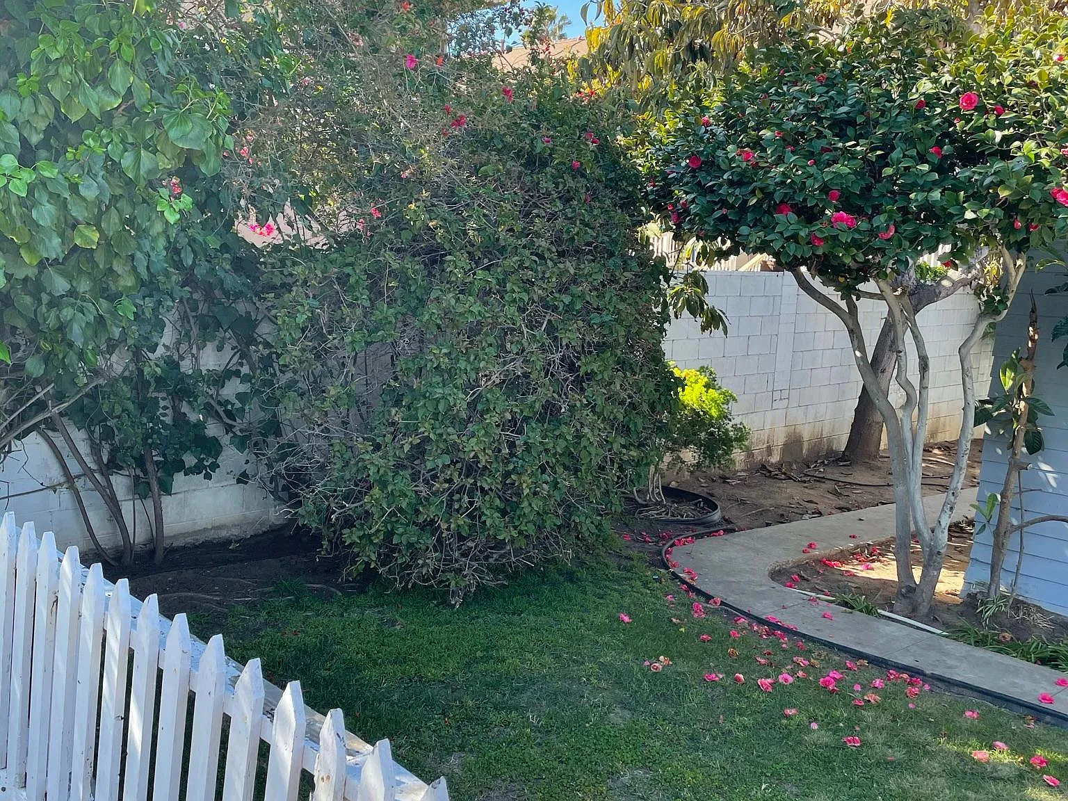 515 N Clementine St — Photo 3