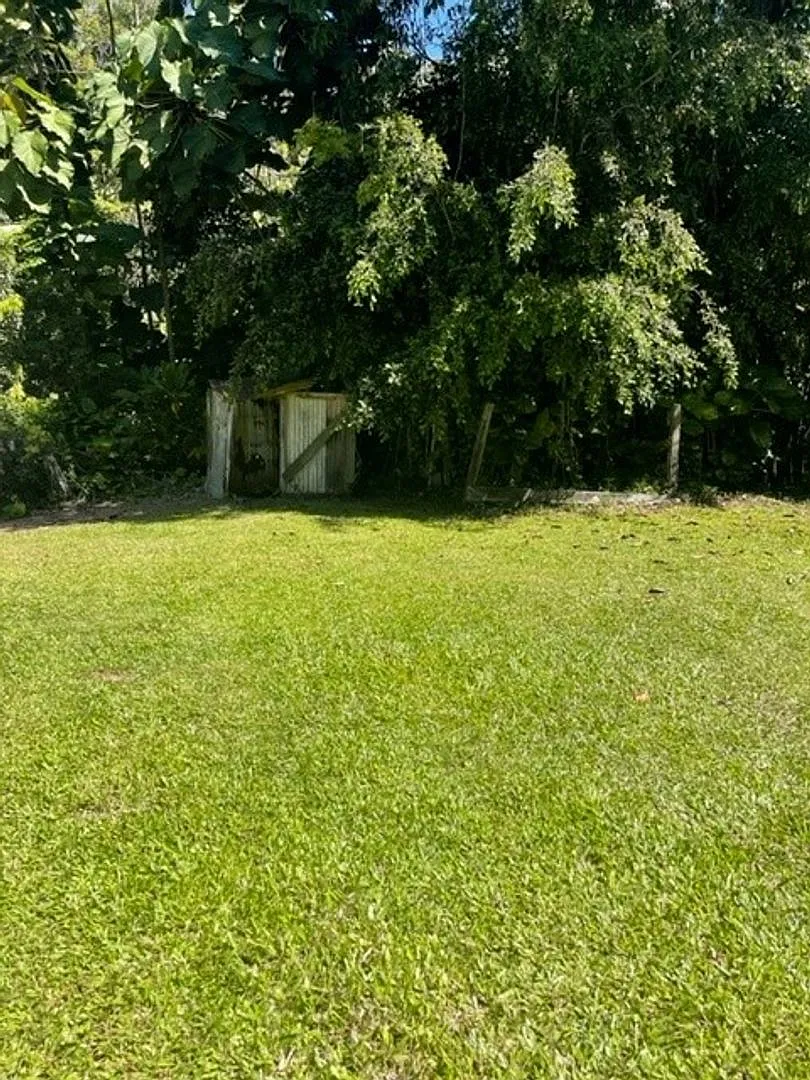 27-1724 Old Mamalahoa Hwy. Honomu, HI 96728 — Photo 4