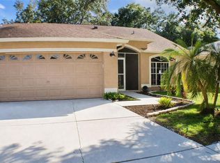 1723 Bell Ranch St, Brandon, FL 33511