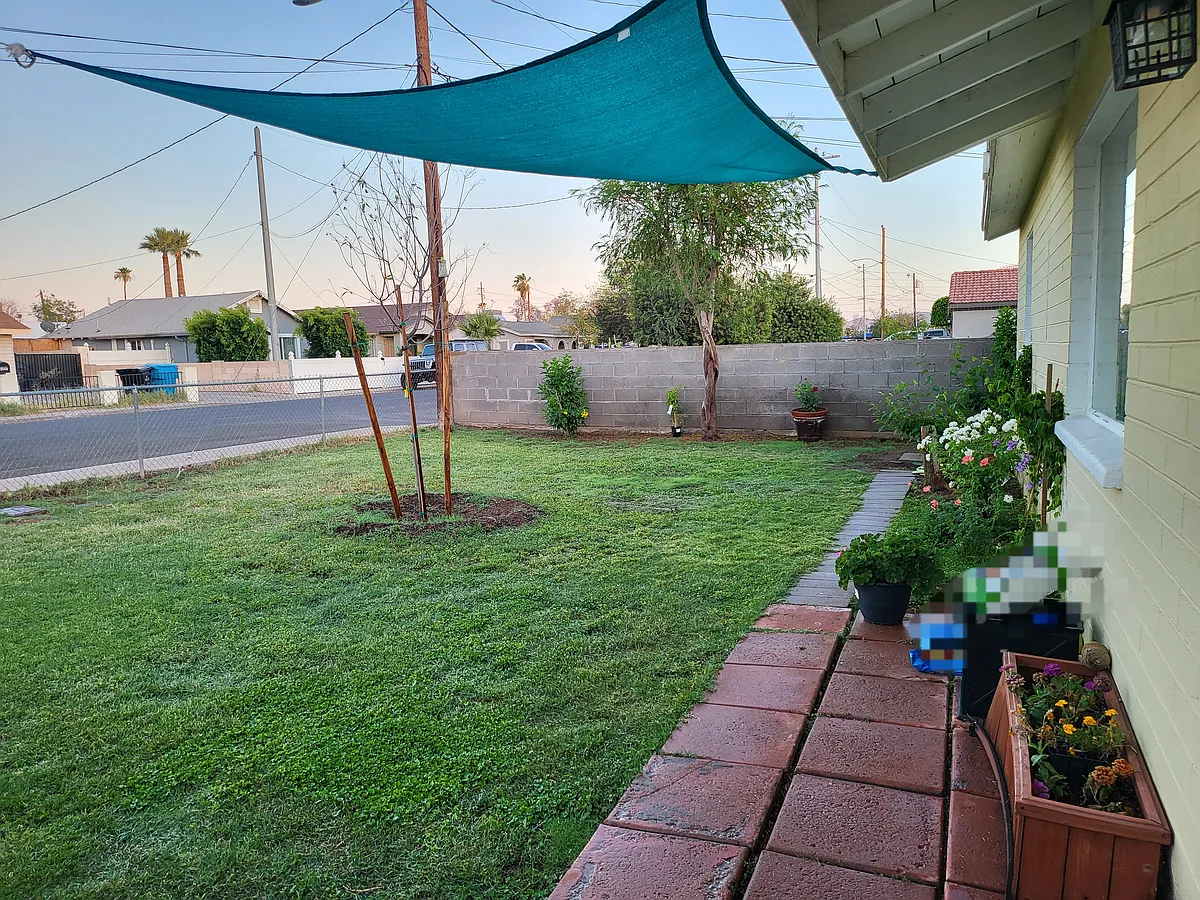 Lush green grass with beautiful, colorful flowers. - 1040 N 27th Pl