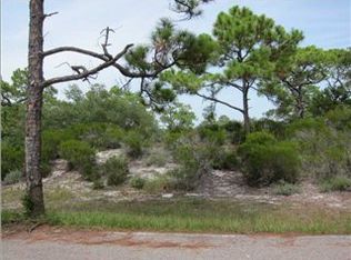1324 Azalea Dr, Saint George Island, FL 32328