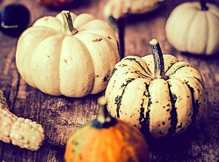 1316 Nancy Hanks Rd APT 8, Lexington, KY 40504