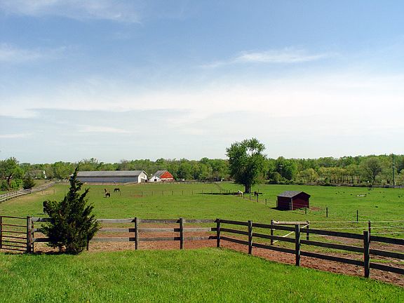 Pasture view