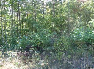 Bogard Creek Rd, Cosby, TN 37722