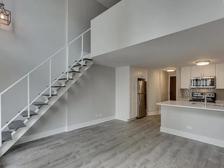 1221 N Dearborn St #806N — Photo 2