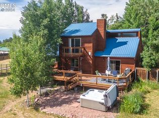 1131 Park View Rd, Woodland Park, CO 80863